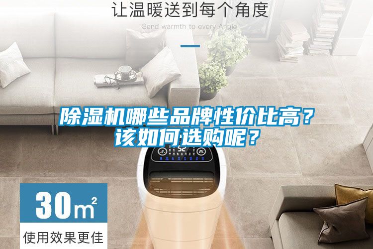 除濕機哪些品牌性價比高？該如何選購呢？