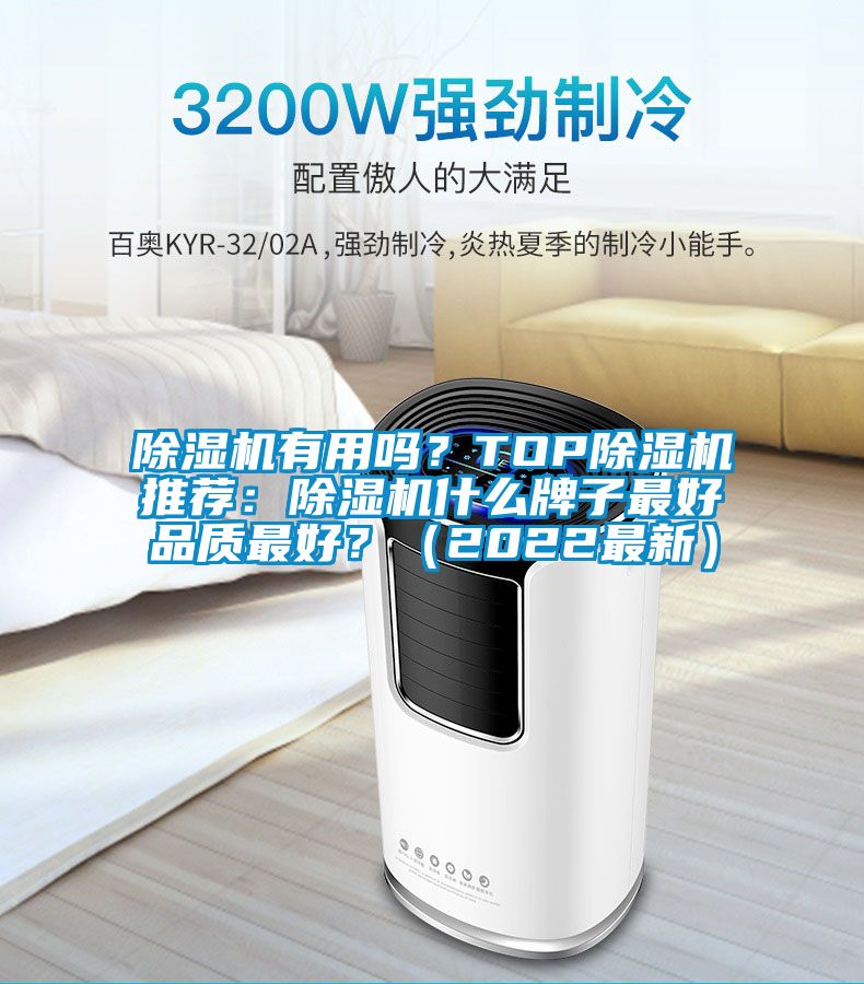 除濕機有用嗎？TOP除濕機推薦：除濕機什么牌子最好品質(zhì)最好？（2022最新）