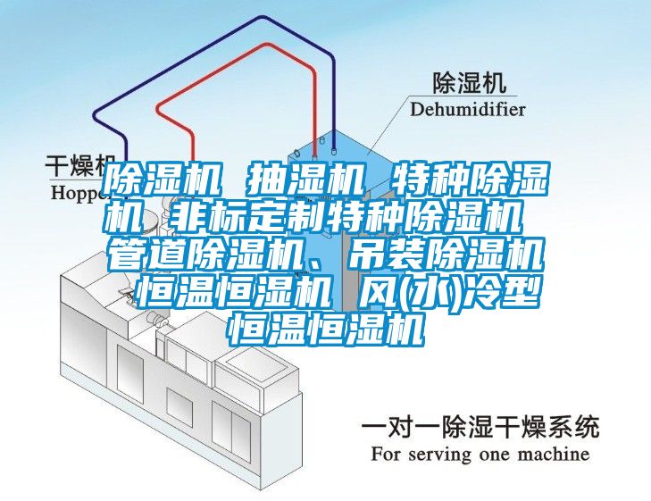 除濕機(jī) 抽濕機(jī) 特種除濕機(jī) 非標(biāo)定制特種除濕機(jī) 管道除濕機(jī)、吊裝除濕機(jī) 恒溫恒濕機(jī) 風(fēng)(水)冷型恒溫恒濕機(jī)