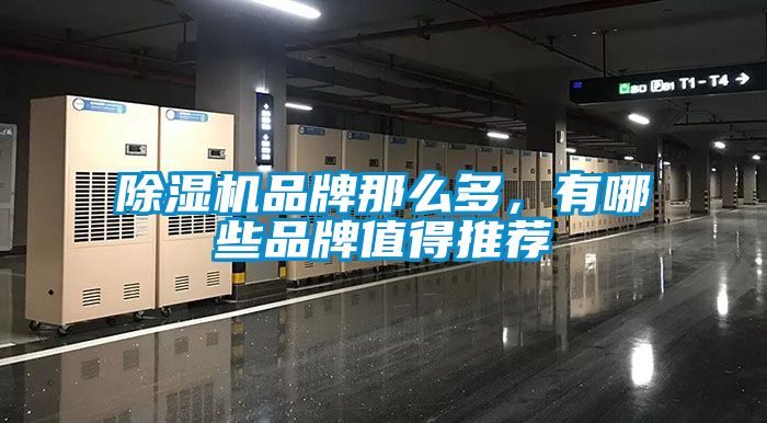除濕機(jī)品牌那么多，有哪些品牌值得推薦