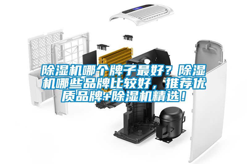 除濕機哪個牌子最好？除濕機哪些品牌比較好，推薦優(yōu)質(zhì)品牌+除濕機精選！