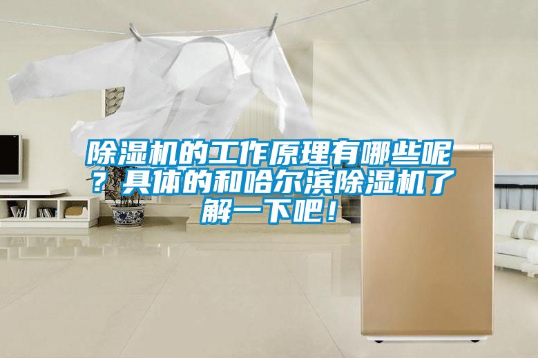 除濕機(jī)的工作原理有哪些呢？具體的和哈爾濱除濕機(jī)了解一下吧！