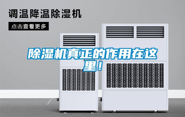 除濕機(jī)真正的作用在這里！