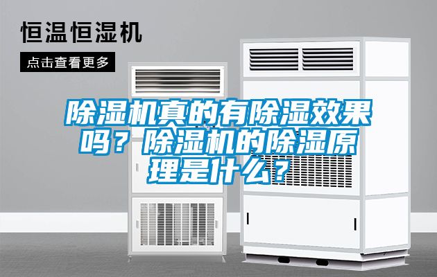 除濕機(jī)真的有除濕效果嗎？除濕機(jī)的除濕原理是什么？