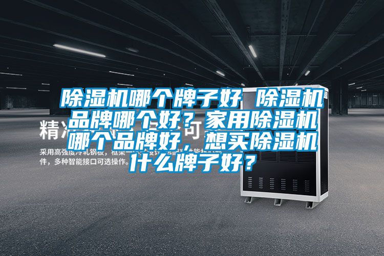 除濕機(jī)哪個牌子好 除濕機(jī)品牌哪個好？家用除濕機(jī)哪個品牌好，想買除濕機(jī)什么牌子好？