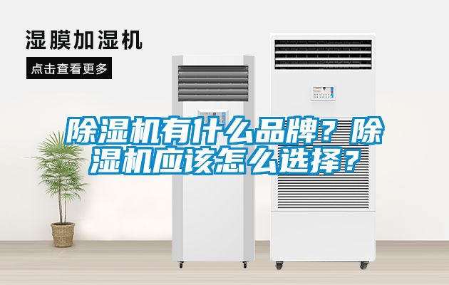 除濕機(jī)有什么品牌？除濕機(jī)應(yīng)該怎么選擇？