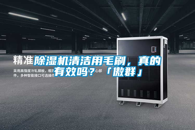 除濕機清潔用毛刷，真的有效嗎？「傲群」