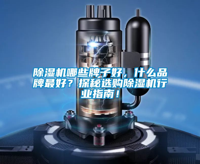 除濕機(jī)哪些牌子好，什么品牌最好？探秘選購(gòu)除濕機(jī)行業(yè)指南！