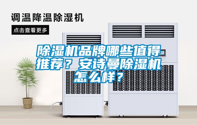 除濕機(jī)品牌哪些值得推薦？安詩(shī)曼除濕機(jī)怎么樣？