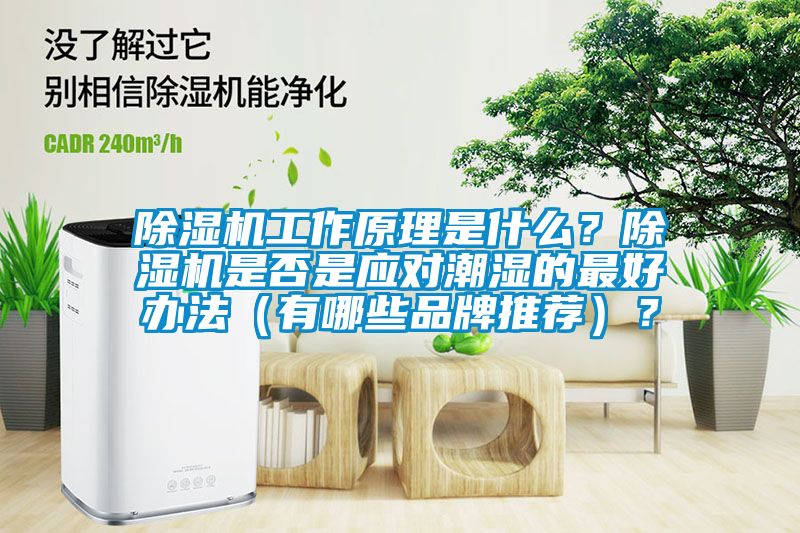 除濕機(jī)工作原理是什么？除濕機(jī)是否是應(yīng)對(duì)潮濕的最好辦法（有哪些品牌推薦）？