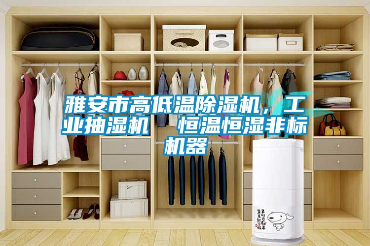 雅安市高低溫除濕機，工業(yè)抽濕機  恒溫恒濕非標機器