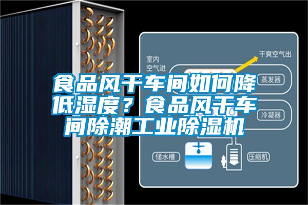 食品風干車間如何降低濕度？食品風干車間除潮工業(yè)除濕機