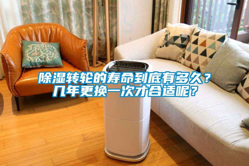 除濕轉(zhuǎn)輪的壽命到底有多久？幾年更換一次才合適呢？