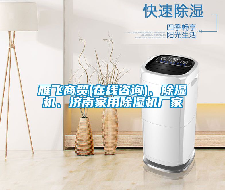 雁飛商貿(mào)(在線咨詢)、除濕機、濟南家用除濕機廠家