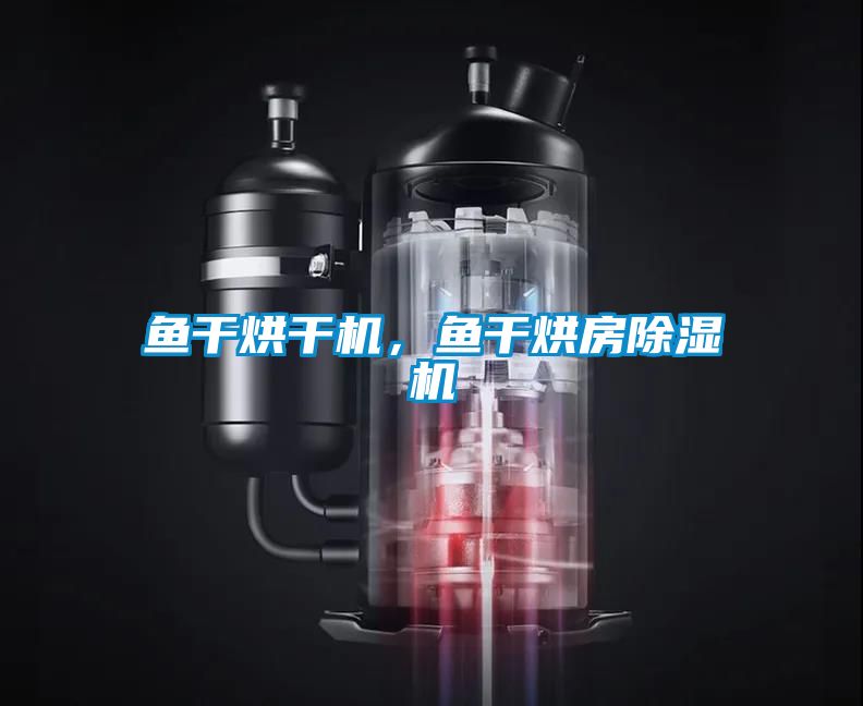 魚干烘干機(jī)，魚干烘房除濕機(jī)