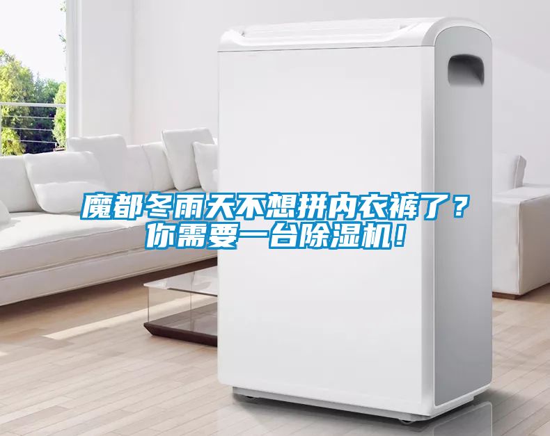 魔都冬雨天不想拼內(nèi)衣褲了？你需要一臺(tái)除濕機(jī)！